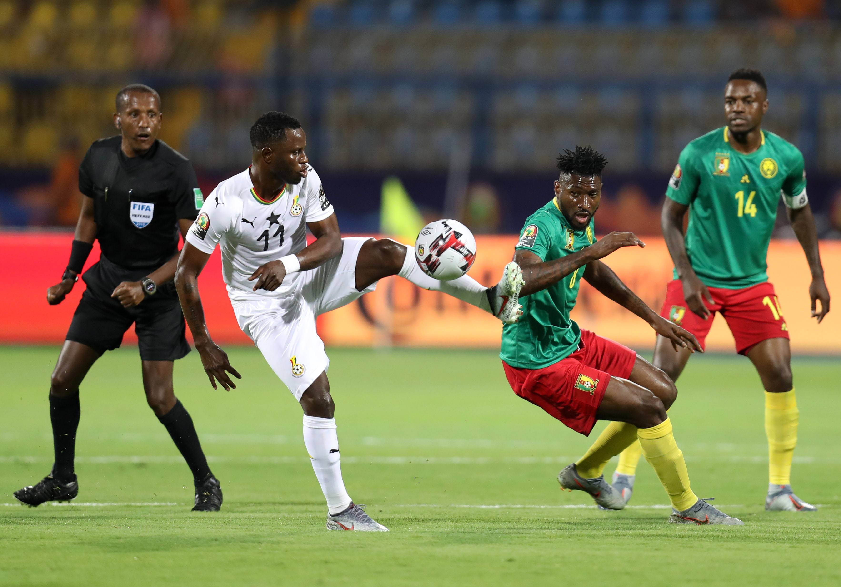 它也是一种 它也是一种